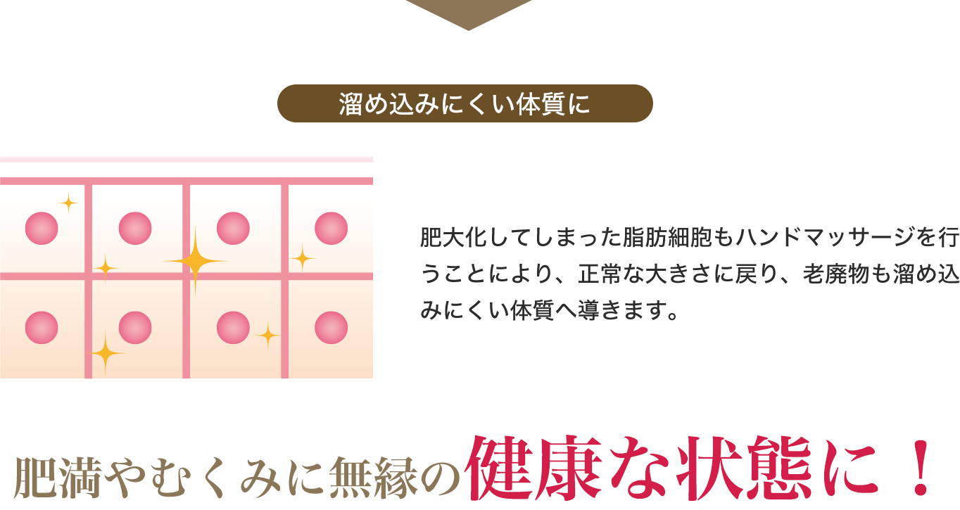 溜め込みにくい体質に 肥満やむくみに無縁の健康な状態に!